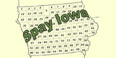 Spay Iowa