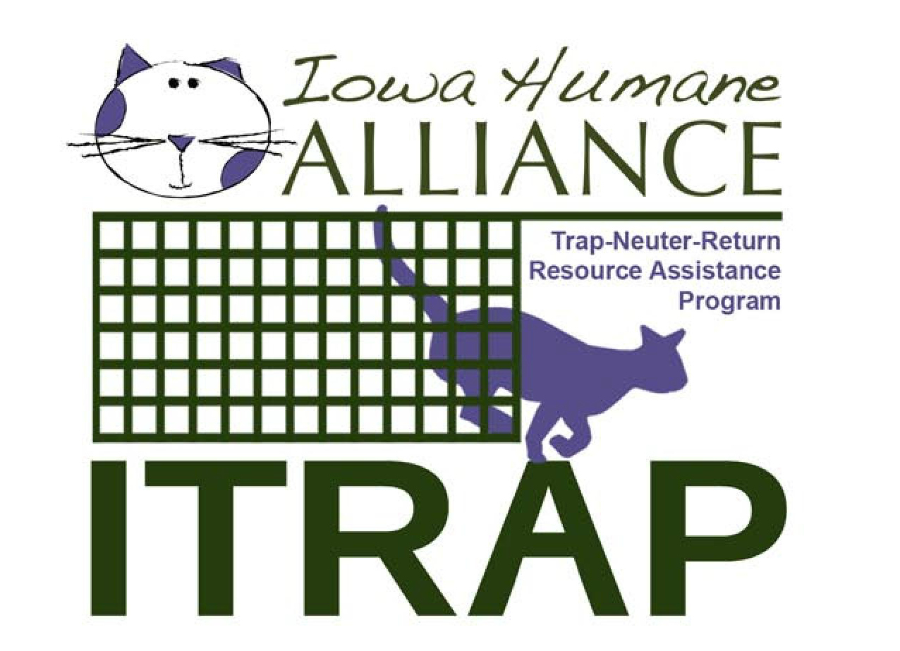 Trap, Neuter, & Return